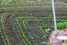 Cicconepermaculture-5.jpg; ?>